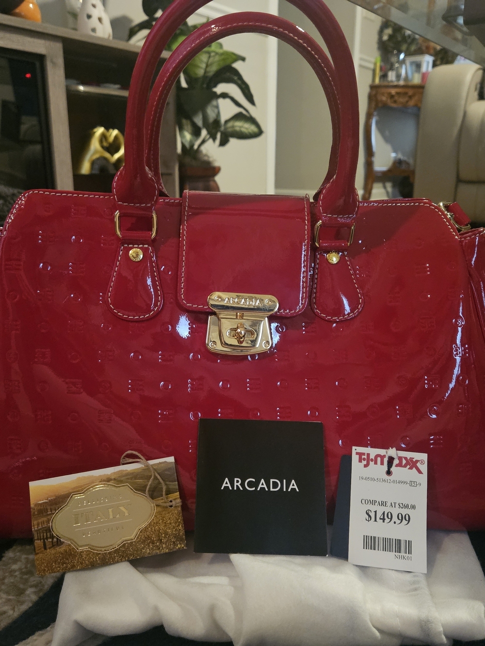 Arcadia Patent Leather Satchel Bag - Red